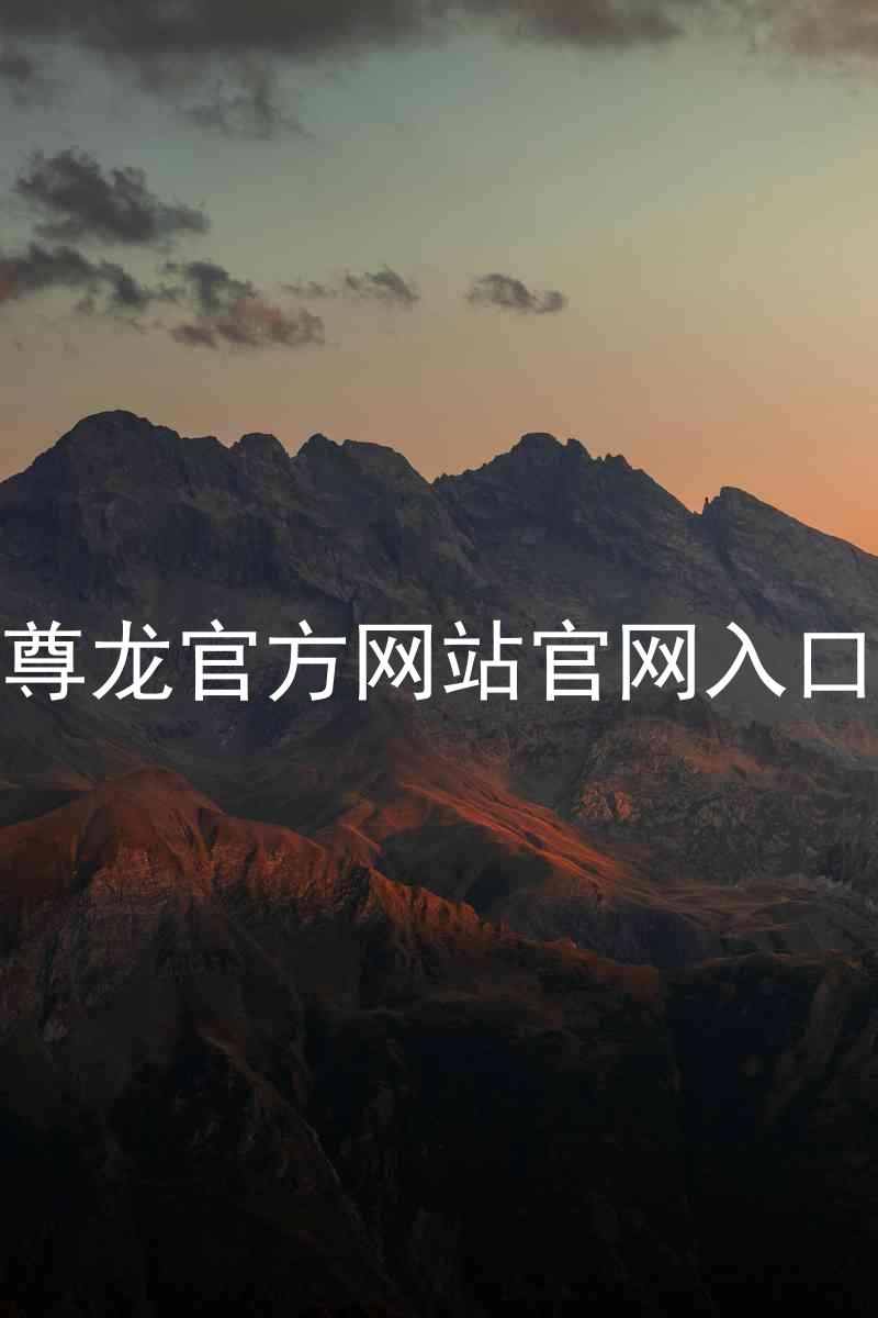 尊龙官方网站官网入口