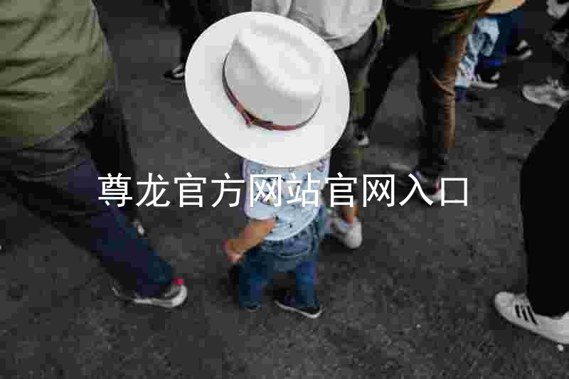 尊龙官方网站官网入口